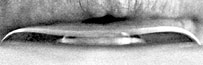 Embouchure viewed from below