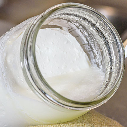 Photo: L. reuteri yogurt with no L. reuteri or inulin